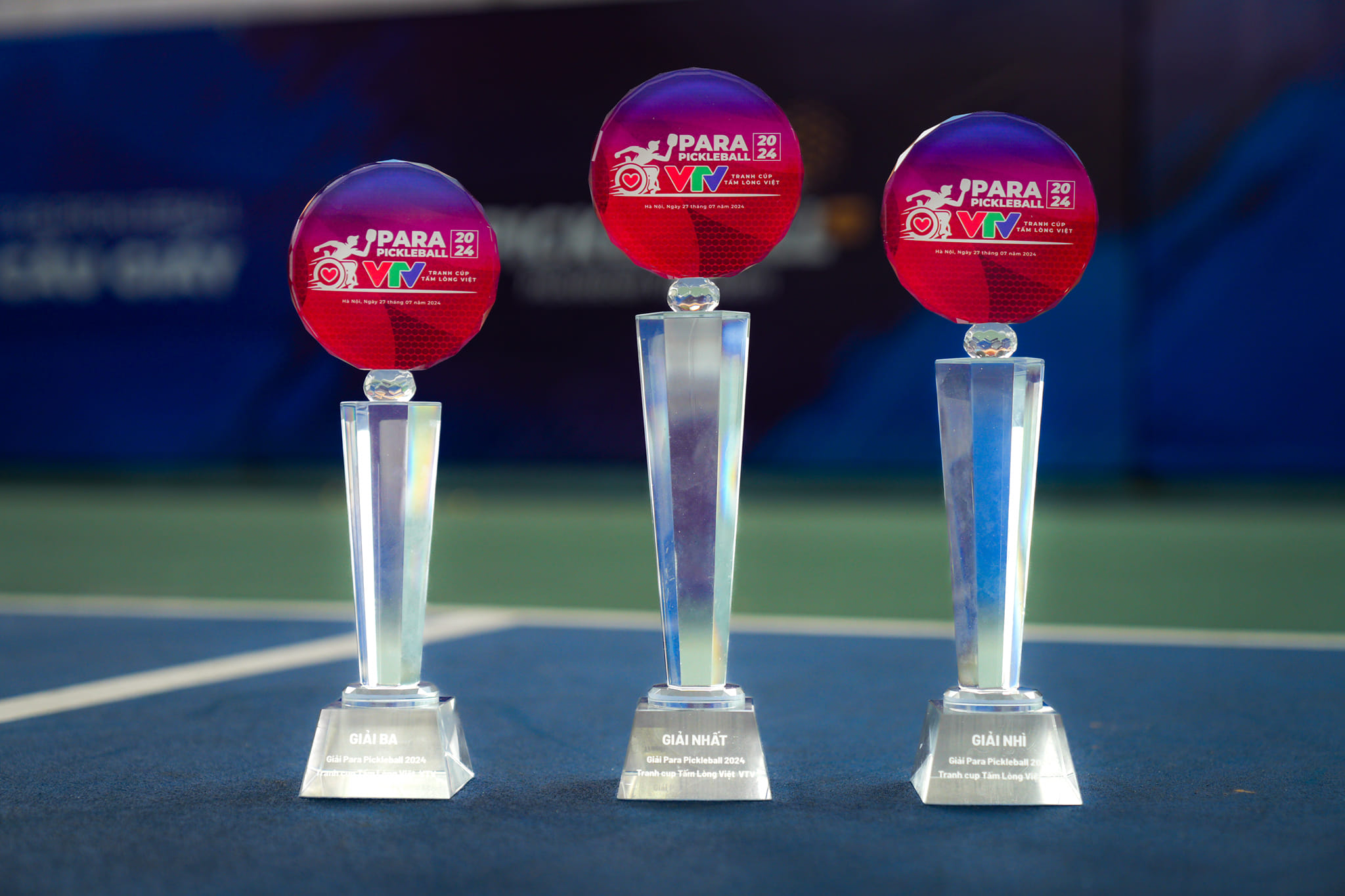 Giải Para Pickleball 2024 tranh cúp Tấm lòng Việt VTV   lớn nhất hiện nay